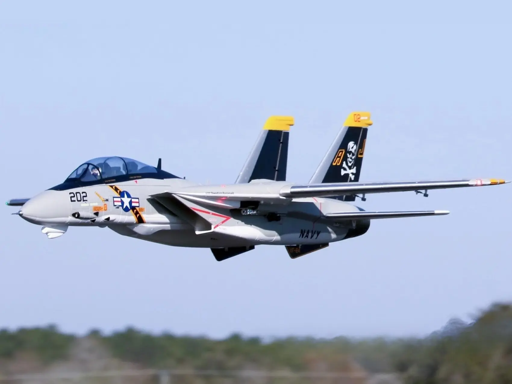 F-14 Tomcat, 64mm EDF Jet, Spw 1250mm, 6S PNP-Set, Freewing – Bild 6